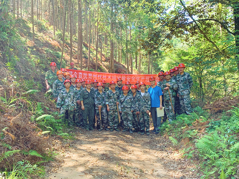 嚴(yán)把森林培育質(zhì)量關(guān)，譜寫(xiě)資源培育新篇章