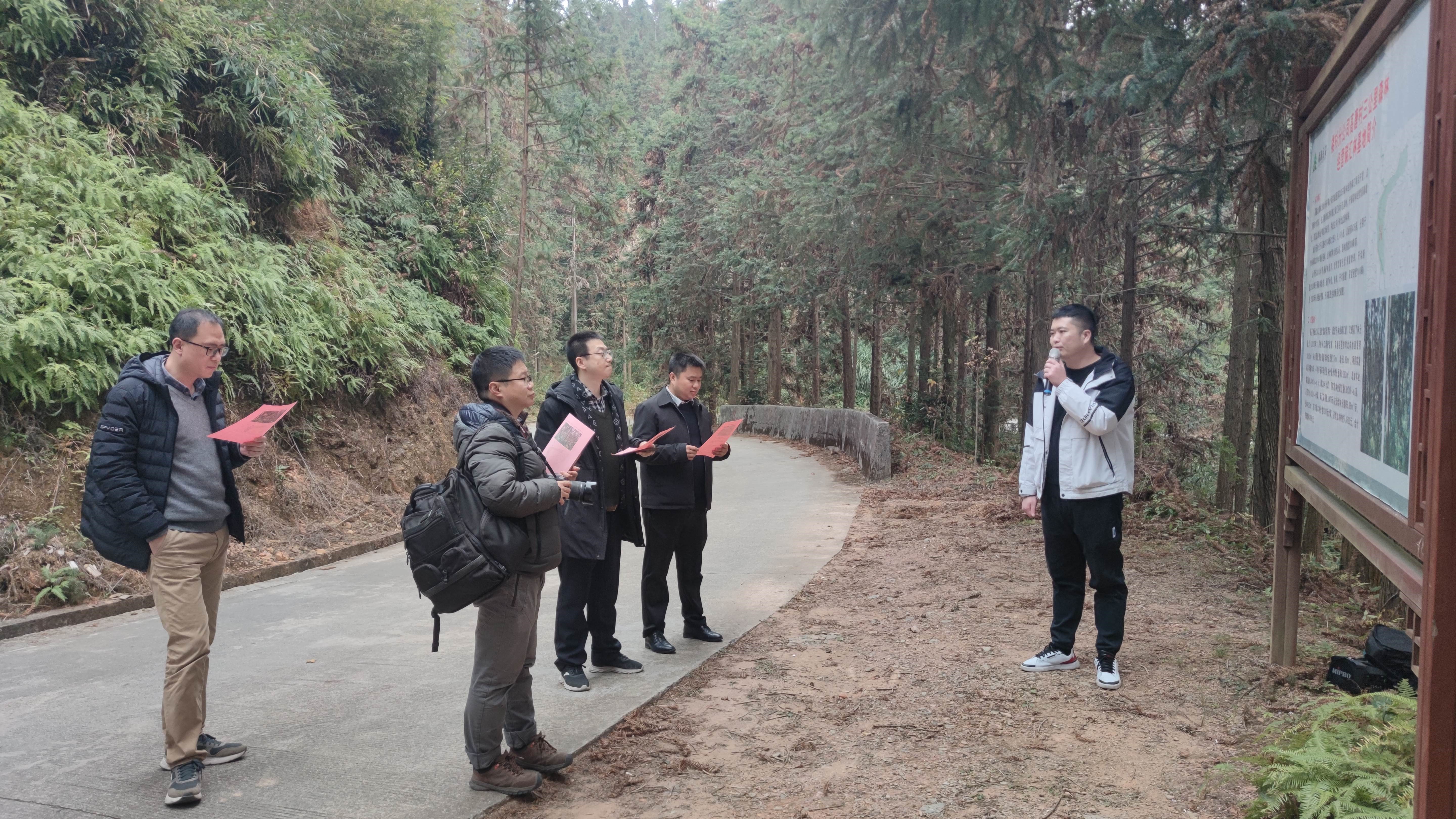 福建金森與上海園林集團(tuán)——強(qiáng)強(qiáng)交流促合作，共繪林改新藍(lán)圖