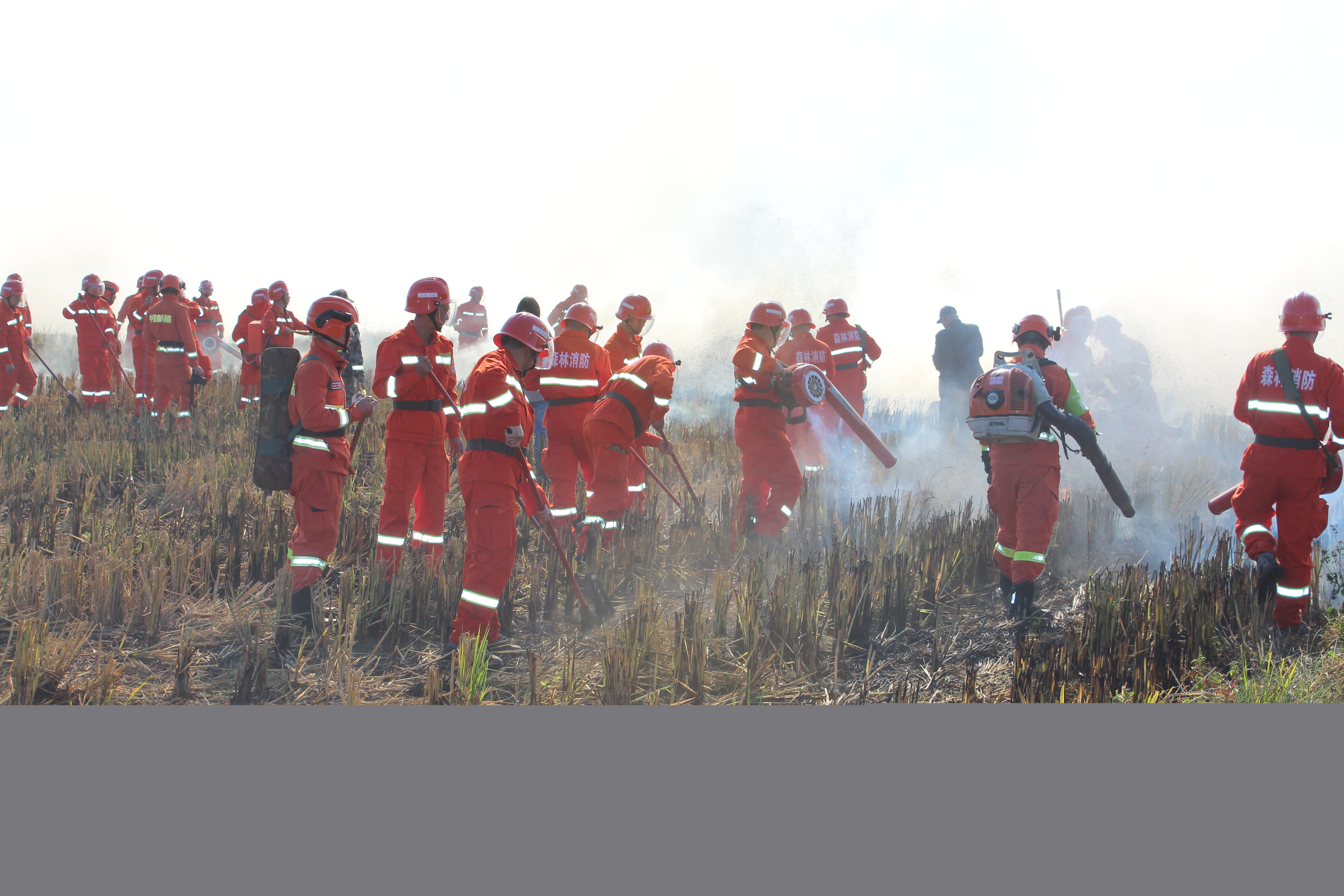 干好每一天|福建金森開展森林防火業(yè)務(wù)培訓(xùn)及防火演練 干好每一天|福建金森開展森林防火業(yè)務(wù)培訓(xùn)及防火演練