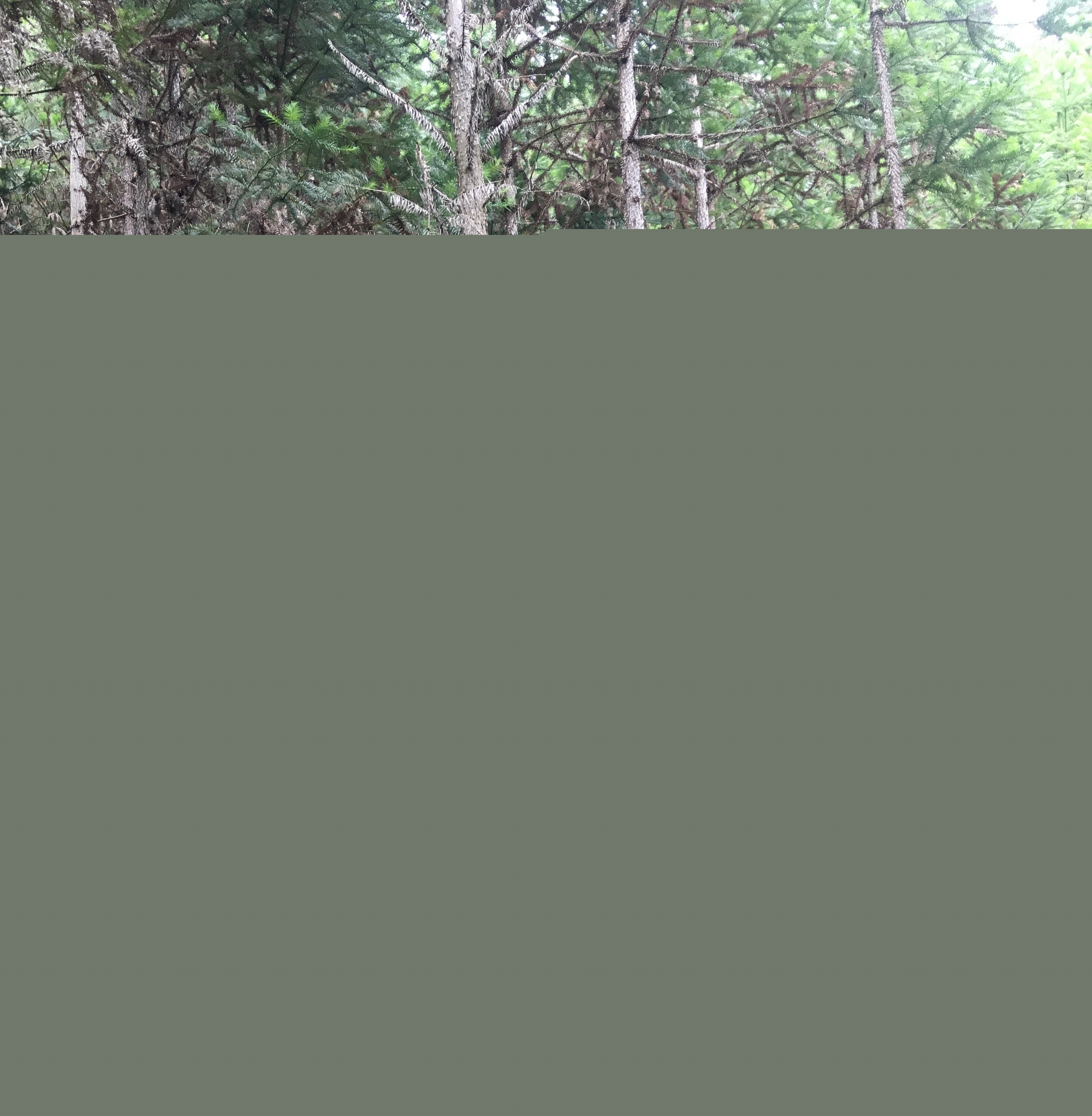 支部結(jié)對共建 促進黨建業(yè)務(wù)“雙提升” 支部結(jié)對共建 促進黨建業(yè)務(wù)“雙提升”