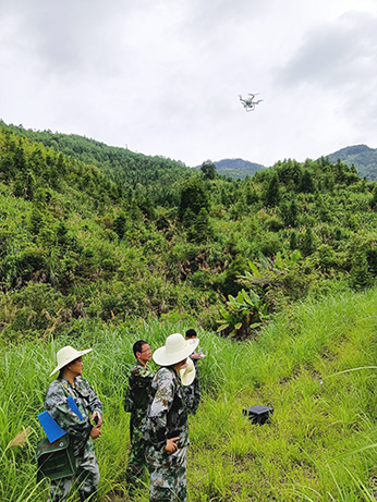 嚴把森林培育質(zhì)量關，譜寫資源培育新篇章