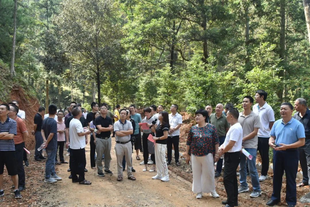 琵琶丘工區(qū):三明市森林質(zhì)量精準(zhǔn)提升工程業(yè)務(wù)培訓(xùn)現(xiàn)場示范 琵琶丘工區(qū):三明市森林質(zhì)量精準(zhǔn)提升工程業(yè)務(wù)培訓(xùn)現(xiàn)場示范