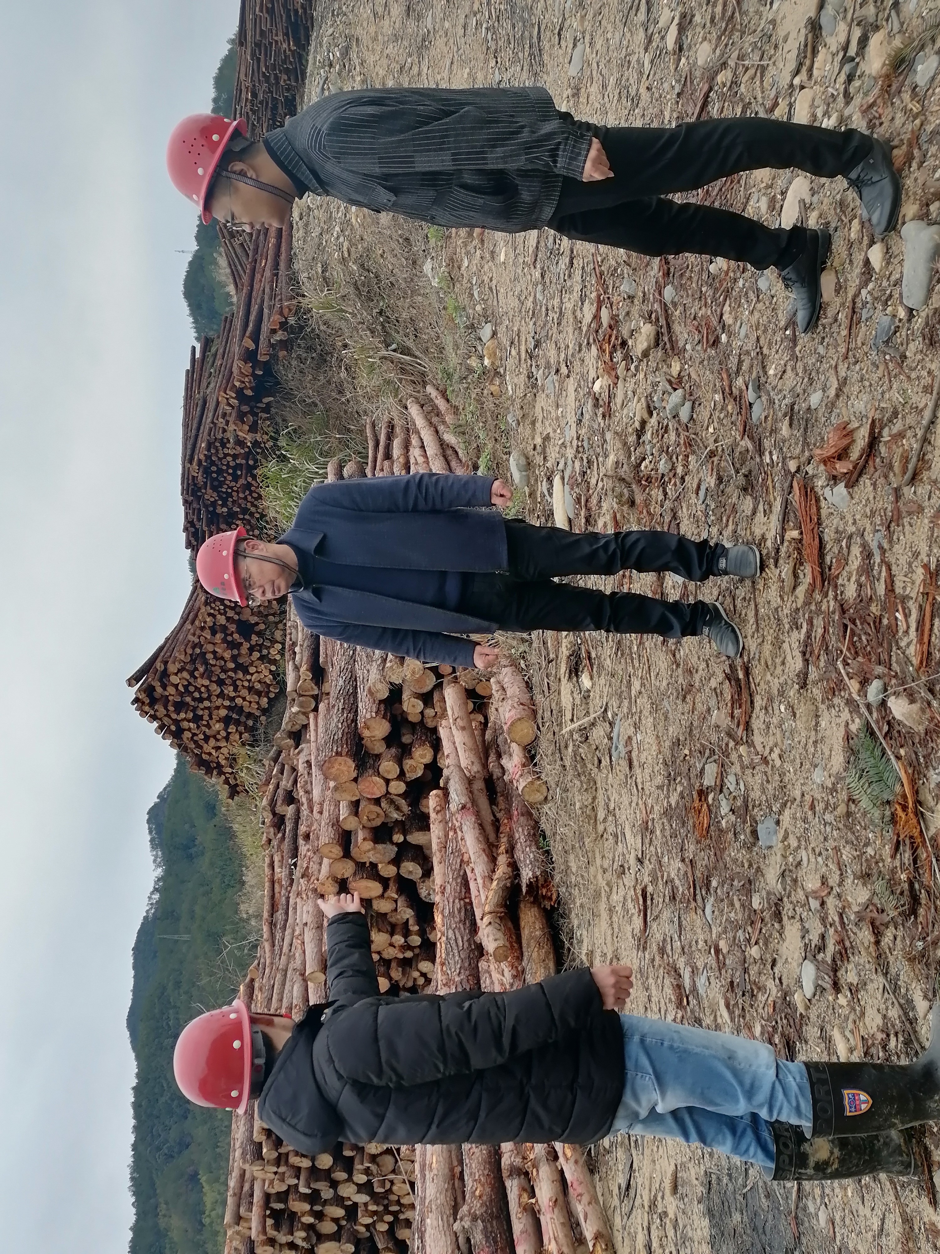 福建金森開(kāi)展歲末年初安全生產(chǎn)檢查