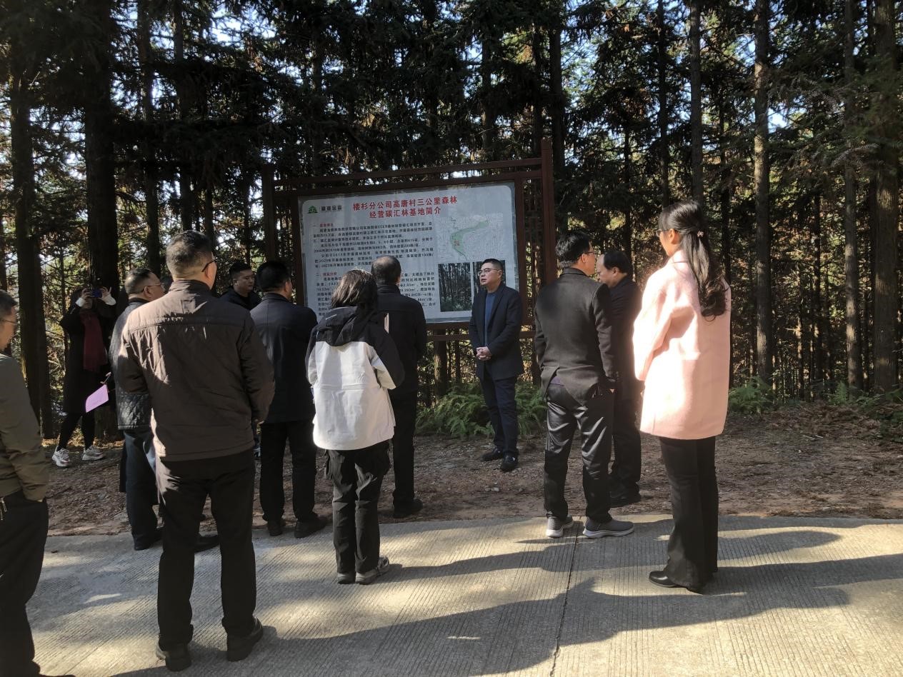 重慶市林業(yè)局一行至福建金森考察 重慶市林業(yè)局一行至福建金森考察