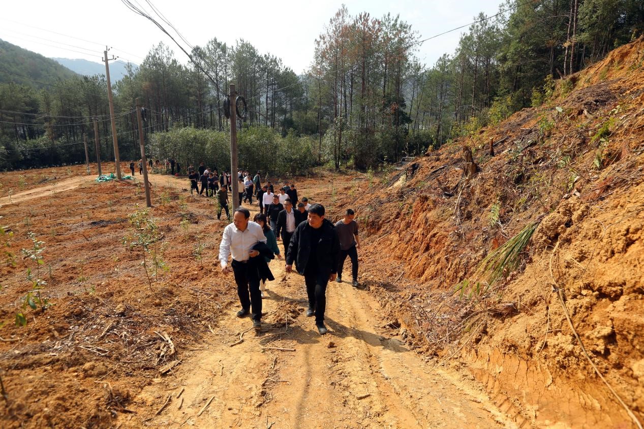不負(fù)春光好，搶播萬(wàn)畝林 ——將樂(lè)縣村企合作造林工作現(xiàn)場(chǎng)會(huì)在福建金森召開(kāi)