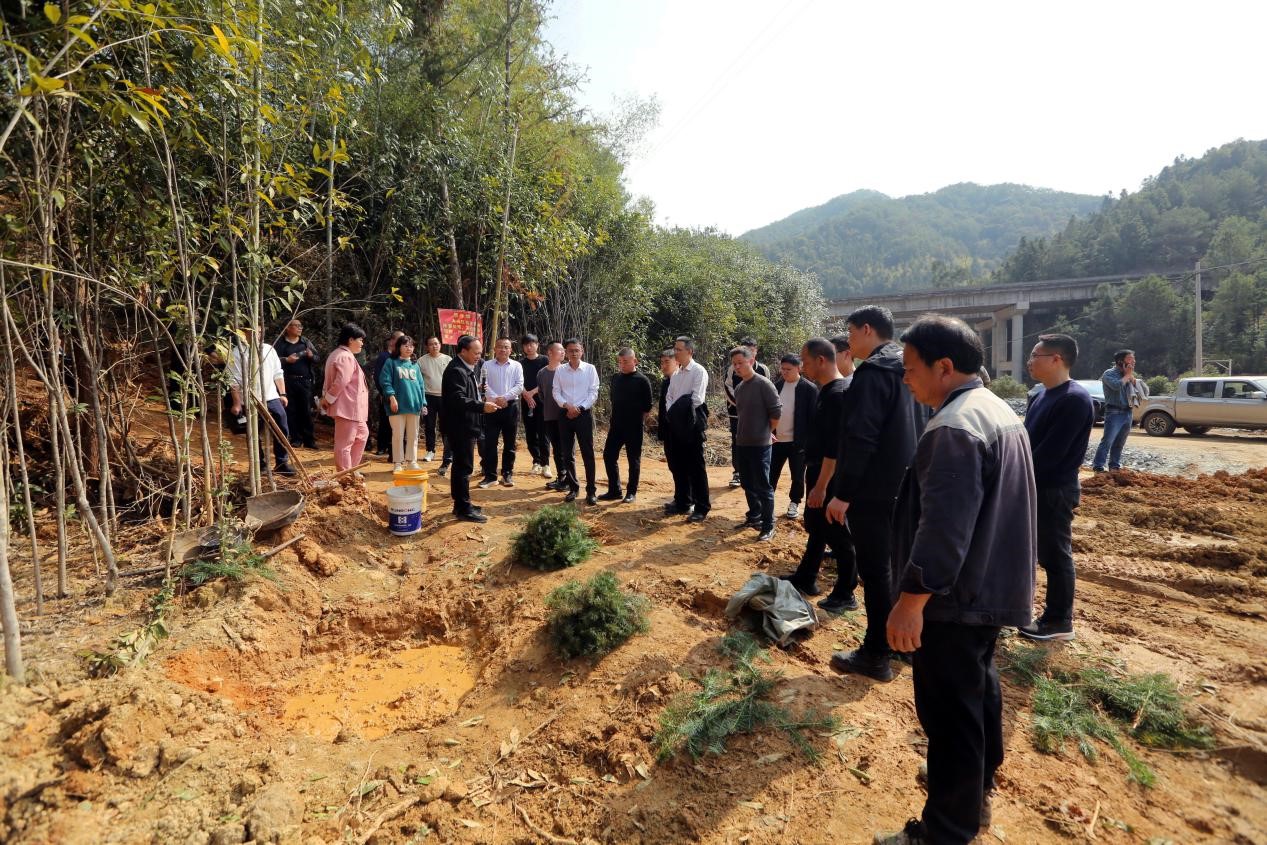 不負(fù)春光好，搶播萬(wàn)畝林 ——將樂(lè)縣村企合作造林工作現(xiàn)場(chǎng)會(huì)在福建金森召開(kāi)