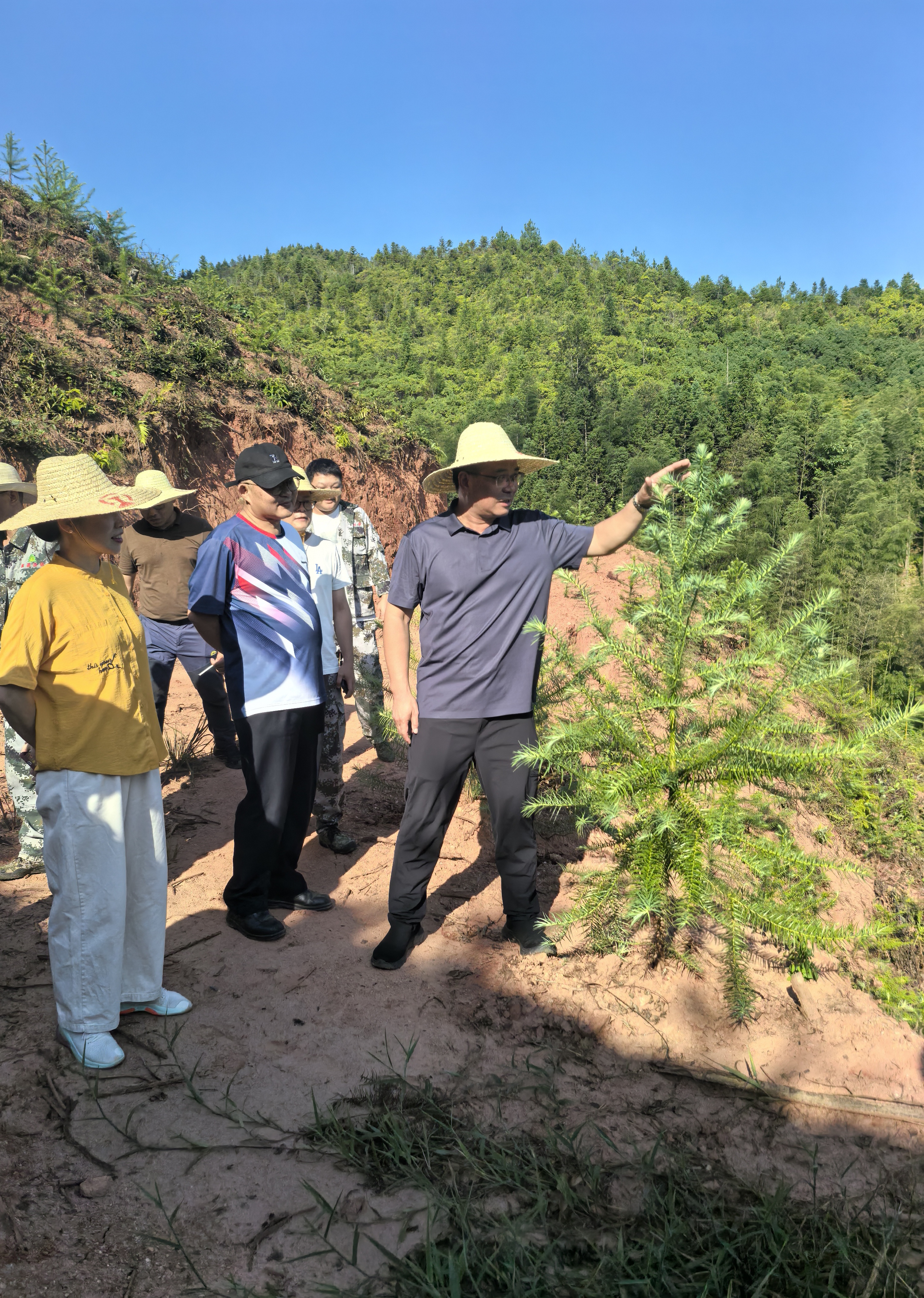 福建省林科院副院長鄭仁華一行蒞臨福建金森 指導(dǎo)森林資源培育工作 福建省林科院副院長鄭仁華一行蒞臨福建金森 指導(dǎo)森林資源培育工作