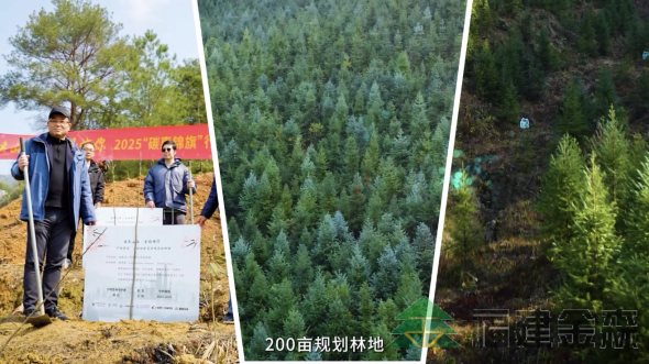 全國首個(gè)!!!“滬明杏林”醫(yī)療碳匯林項(xiàng)目成功啟動(dòng) 福建金森攜手多方共推醫(yī)療與生態(tài)融合發(fā)展新范式 全國首個(gè)!!!“滬明杏林”醫(yī)療碳匯林項(xiàng)目成功啟動(dòng) 福建金森攜手多方共推醫(yī)療與生態(tài)融合發(fā)展新范式